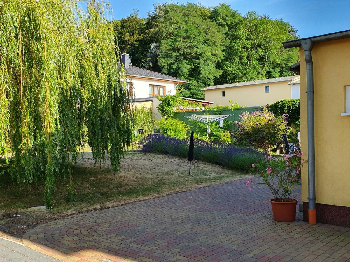 Ferienwohnung Ole Цинновиц Экстерьер фото